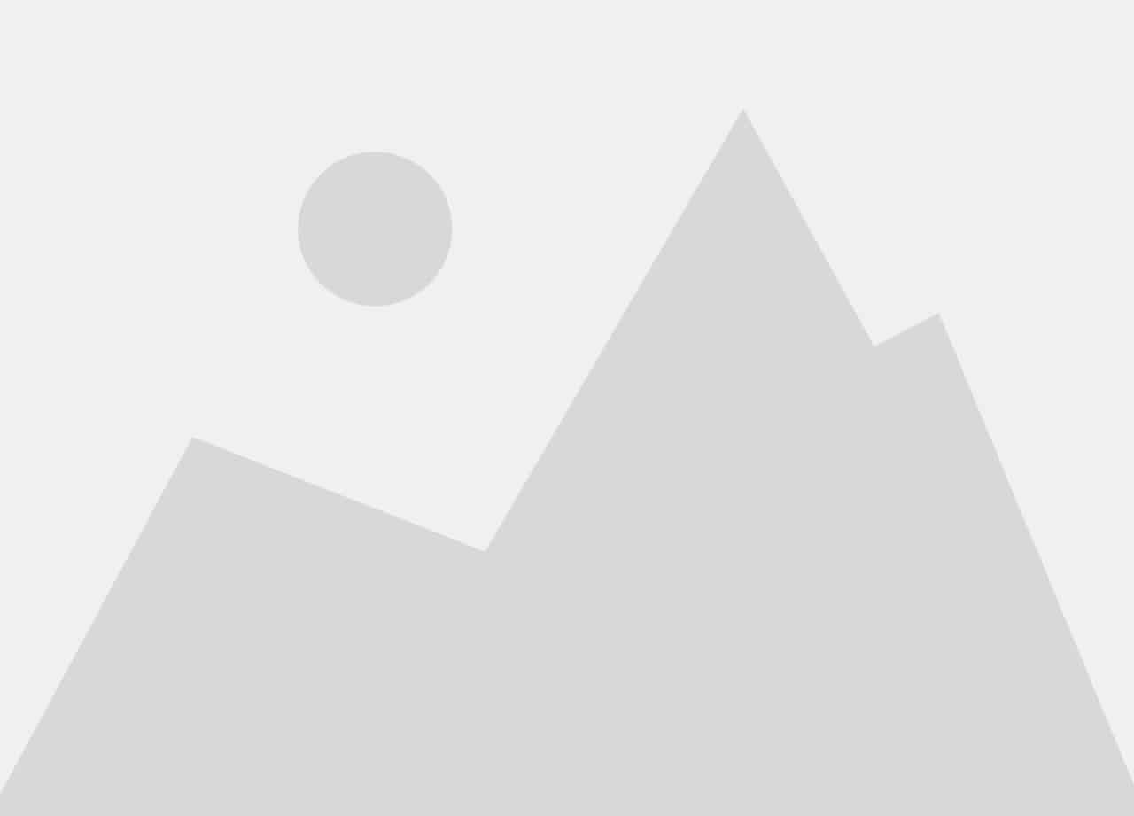 Is your dog small, medium, or large? The ultimate guide to dog sizes ...