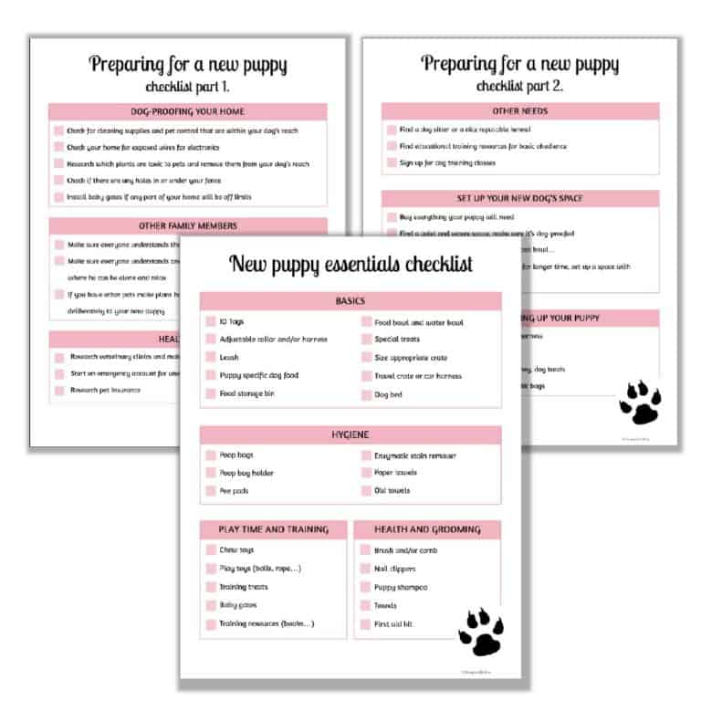 Puppy-proofing: 10-point Checklist for Preparing Your Home & Garden fo –  Harringtons Pet Food