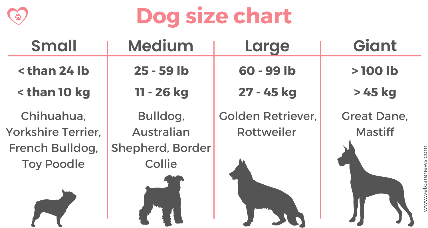 Dog Size Chart Kg Pounds 