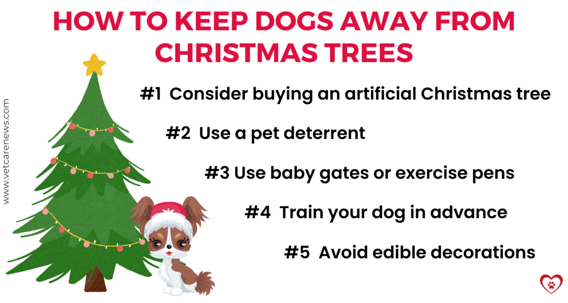 5 actionable tips how to keep dogs away from Christmas trees