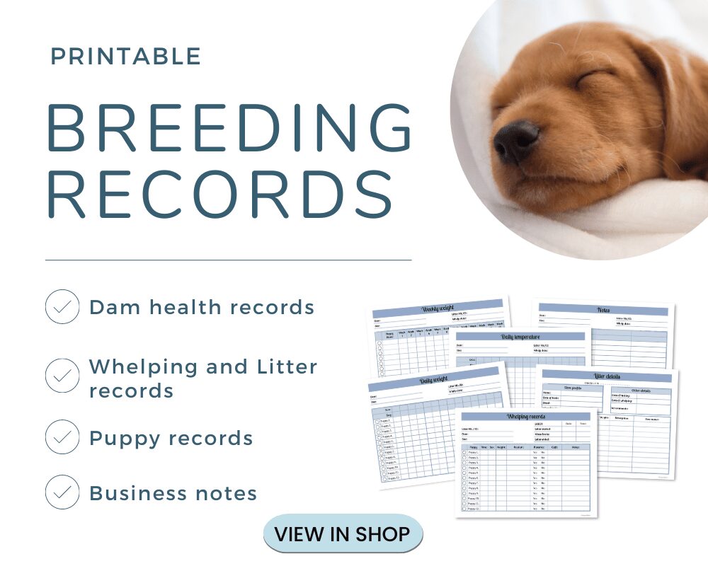 Signs of dental problems in dogs: how to recognize the silent signals 5 printable breeding records