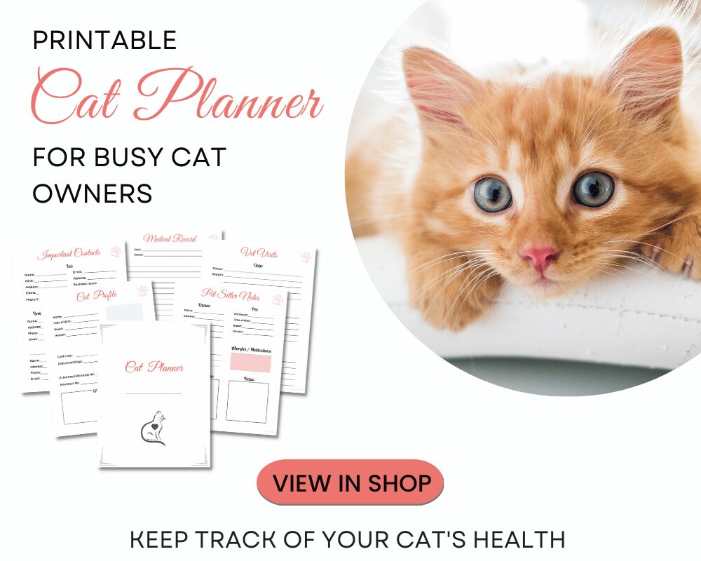 cute printable cat care planner