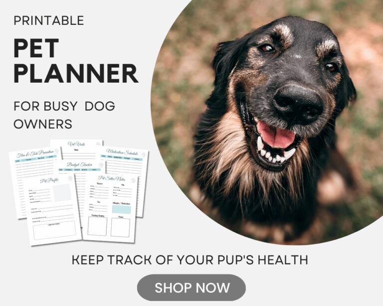 Photo inspiration: Canine Choking Hazard From Trash Bags Reference: 7 Most Common Dog Choking Hazards And How To Avoid