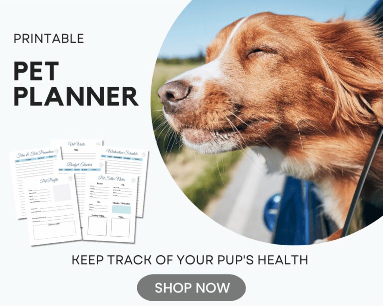 5 most common reasons why is your dog throwing up bile in the morning