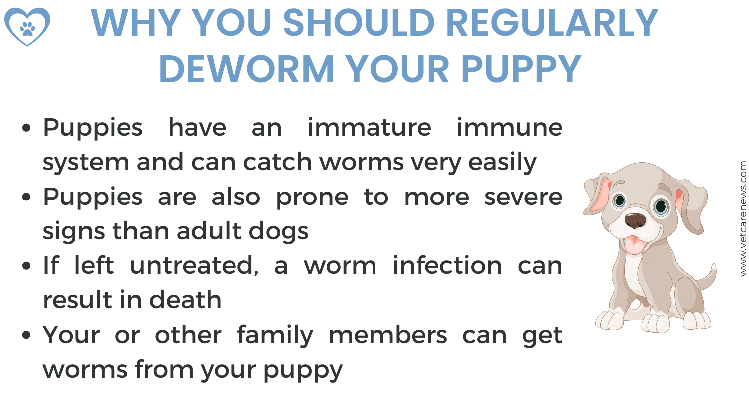 Deworming for 2024 puppies schedule