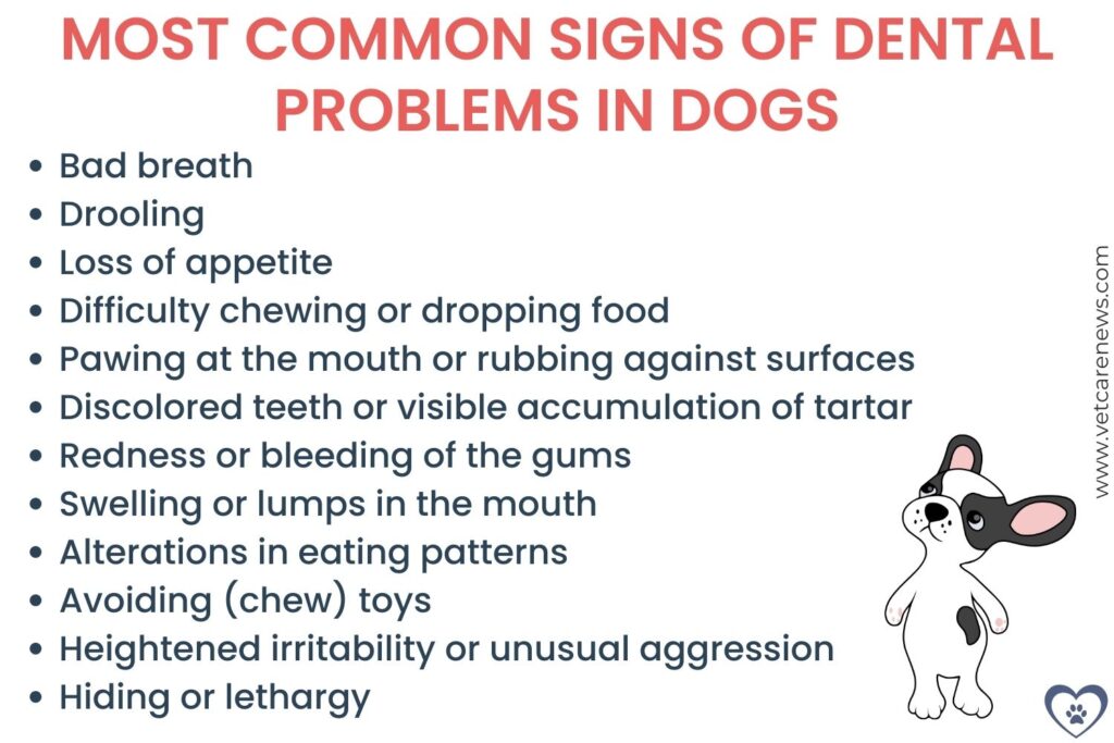 Signs of dental problems in dogs: how to recognize the silent signals 3 Infographics - Title reads Most common signs of dental problems in dogs