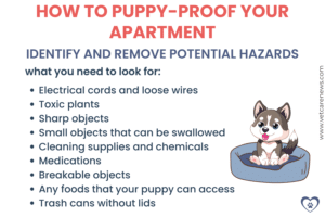 View of Your ultimate guide to puppy-proofing an apartment