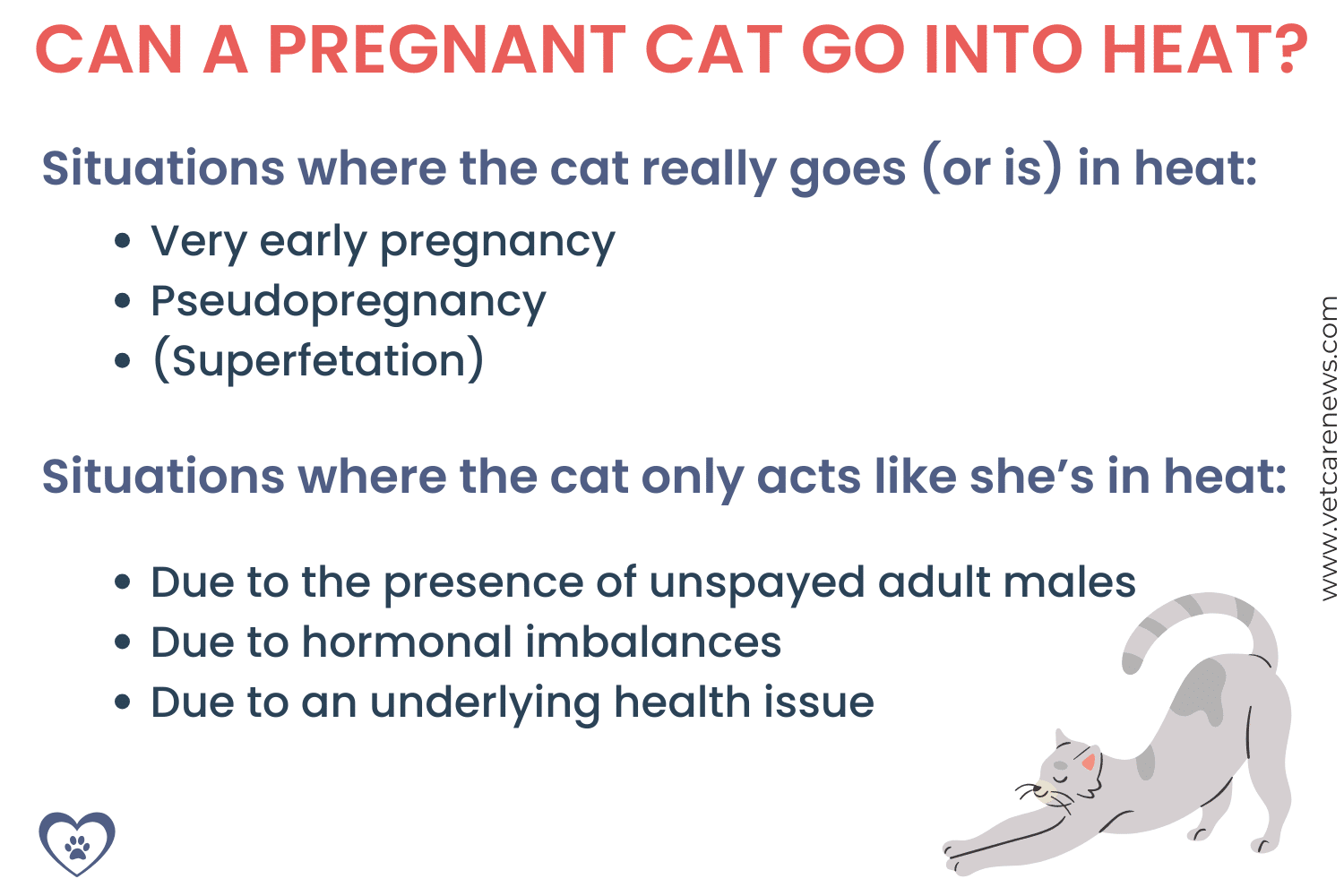 Can a cat get pregnant store if she is not in heat