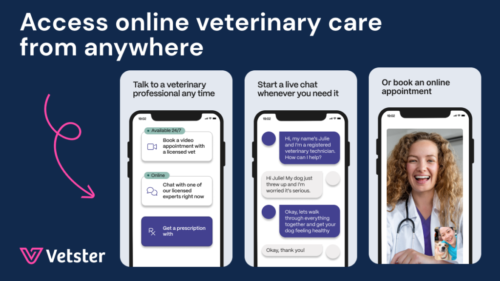 vetster online veterinary care